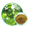 Ginkgo Biloba Ekstresi CP2015