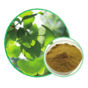 Ekstrak Ginkgo Biloba CP2015